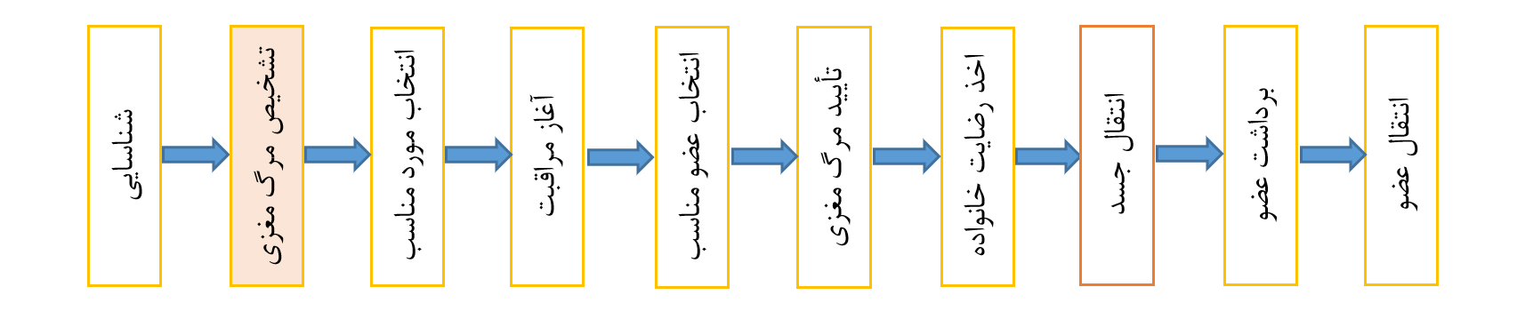 فرایند اهدای عضو